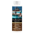 Spa Phosphate Remover | Heavy Duty | 16 Ounce | 1 Bottle | Natural Chemistry