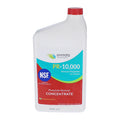 Pool Phosphate Remover Concentrate For Water Balance | Concentrated | 32 Fl Oz | Orenda